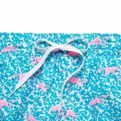 Chubbies The Domingos Are For Flamingos 5.5" Stretch