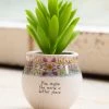 Natural Life Succulent You Make World Better Small Accessories