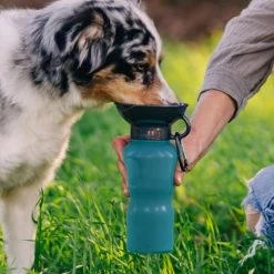 Pets Highwave AutoDOGMug 22 Oz. Pacific Blue