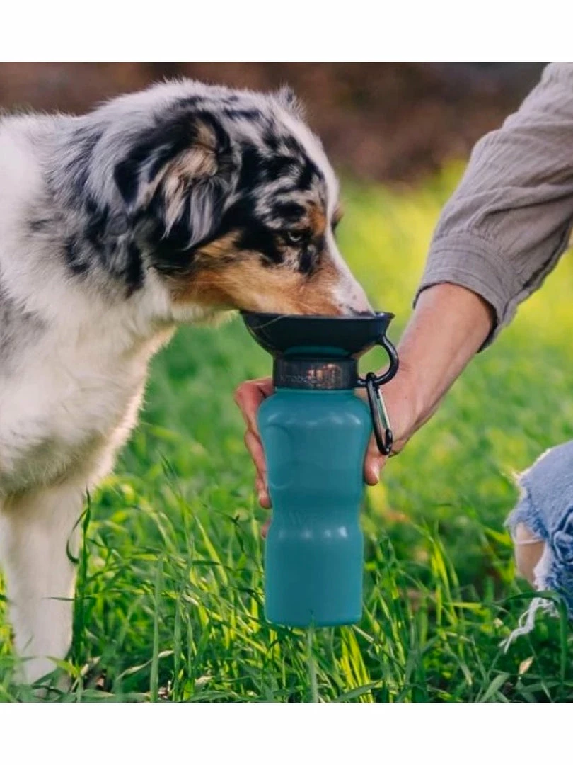 Pets Highwave AutoDOGMug 22 Oz. Pacific Blue 1 Pets Highwave AutoDOGMug 22 Oz. Pacific Blue