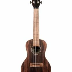Kala Ukulele Striped Ebony Concert Uke Instruments