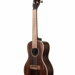 Kala Ukulele Striped Ebony Concert Uke Instruments