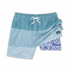 Chubbies The Whale Sharks 5.5" (Lined Classic Stretch)